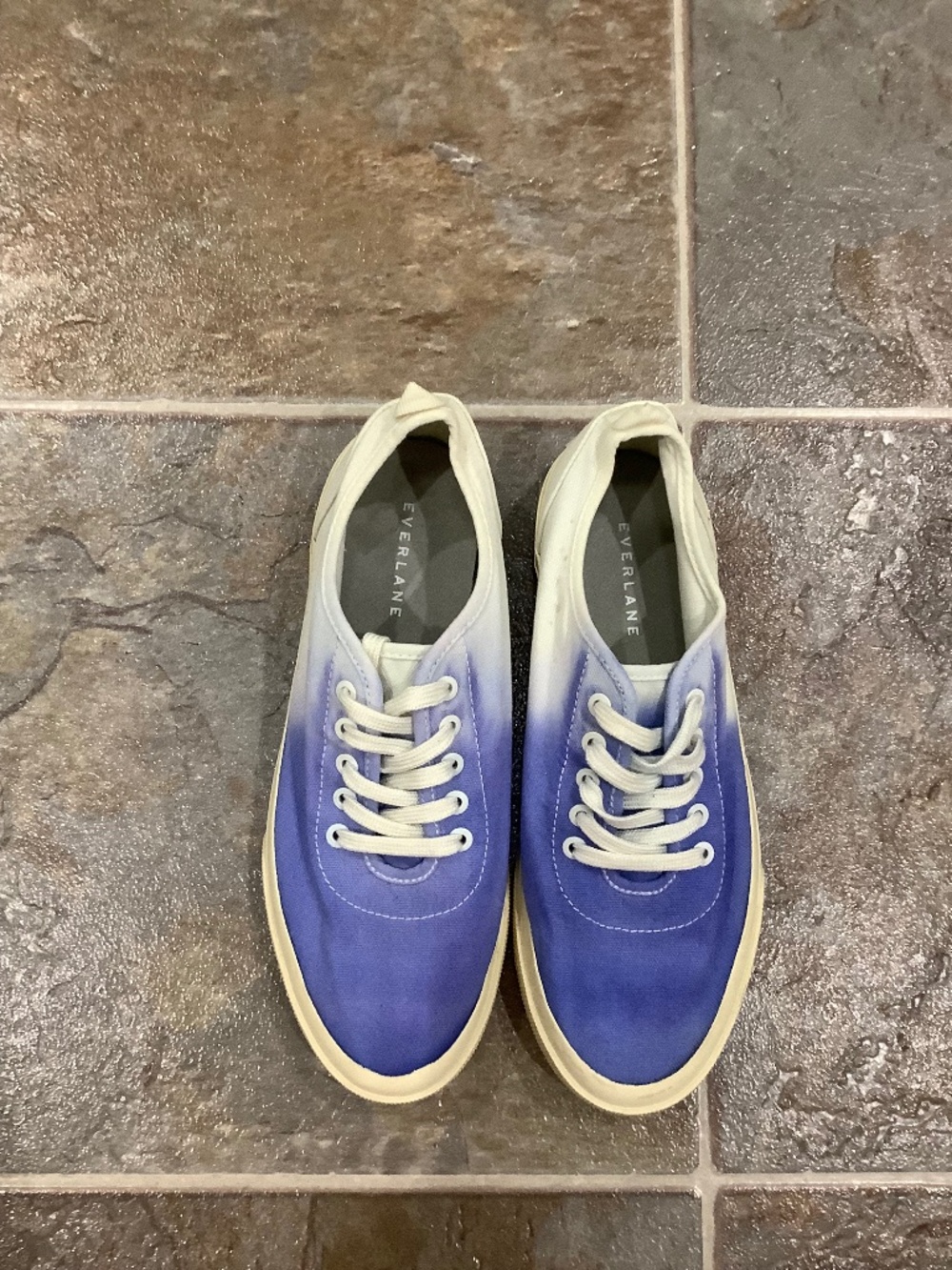 Everlane Sz 8 Organic Cotton Sneakers